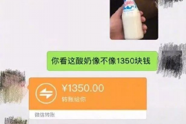 荆门为什么选择专业追讨公司来处理您的债务纠纷？